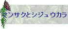 }TNƃVWEJ