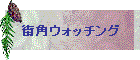 XpEHb`O