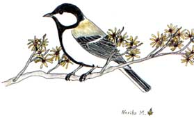 t_shijyu.jpg (14594 �o�C�g)