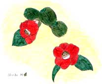 t_tsubaki.jpg (11391 �o�C�g)